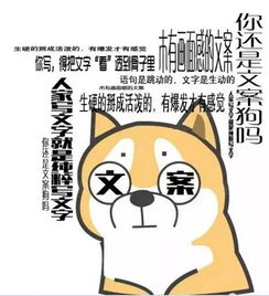 小狗保健品哪个比较好，狗的保健品有哪些种类